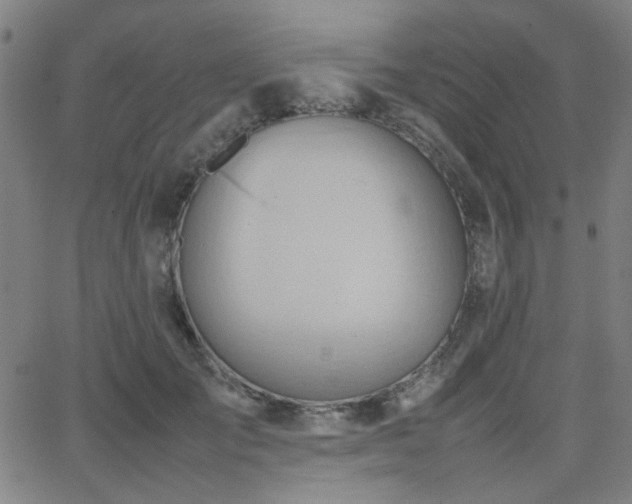 X0000064040701200601271202