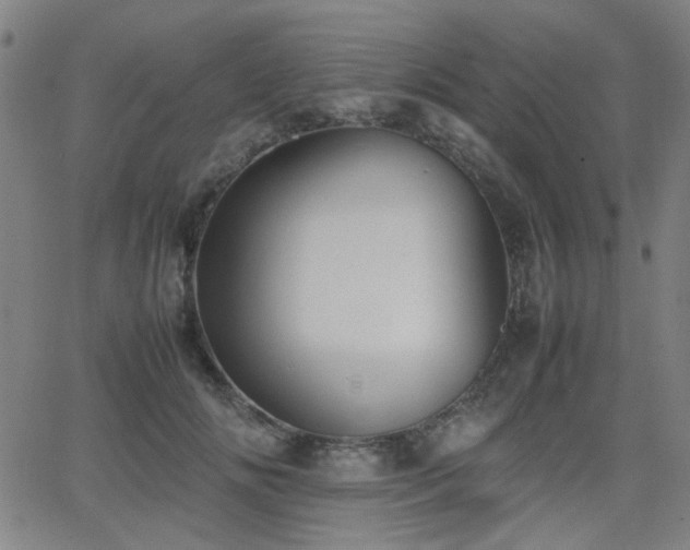 X0000064040702200601271202