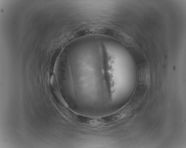 X0000064040703200601271202