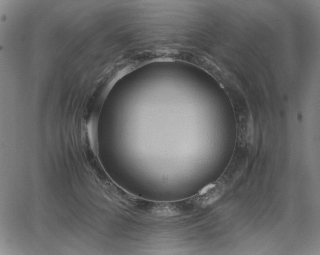 X0000064040704200601271202