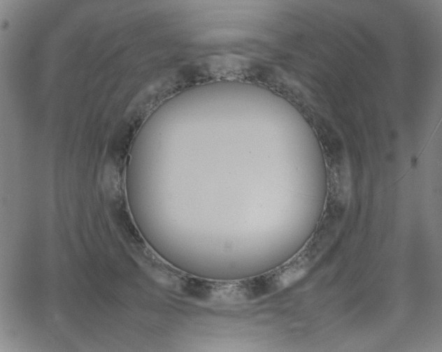 X0000064040705200601271202