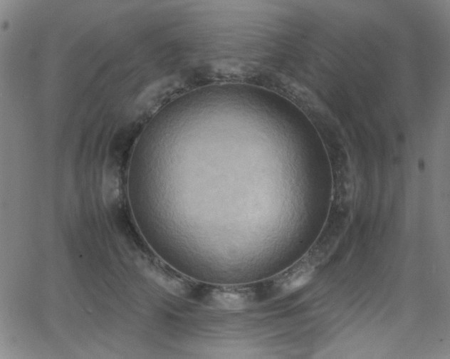 X0000064040706200601271202