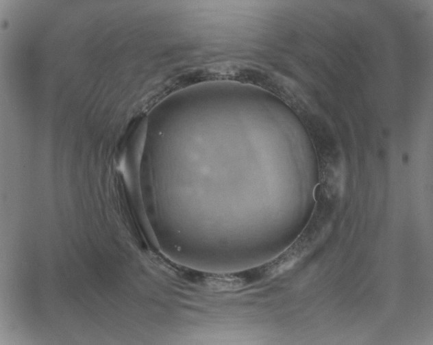 X0000064040707200601271202