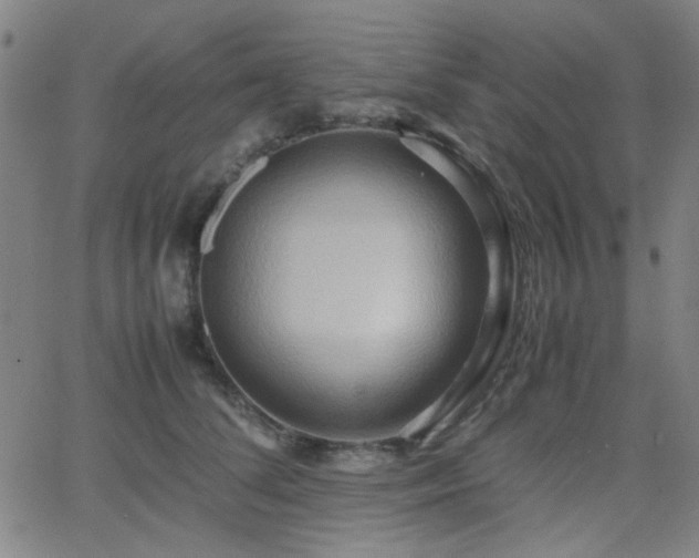 X0000064040708200601271202