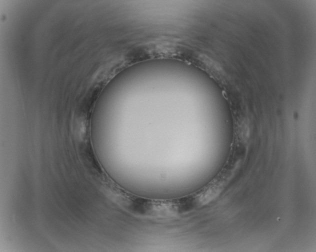 X0000064040709200601271202