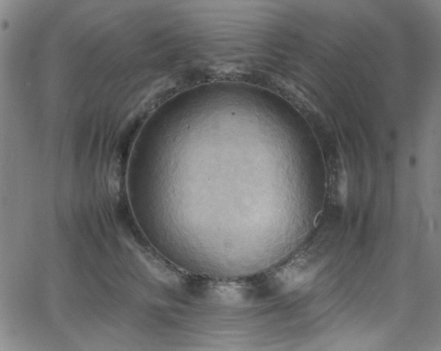 X0000064040710200601271202