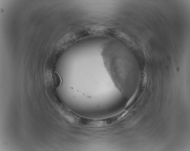 X0000064040711200601271202