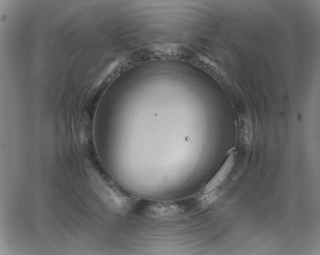 X0000064040712200601271202