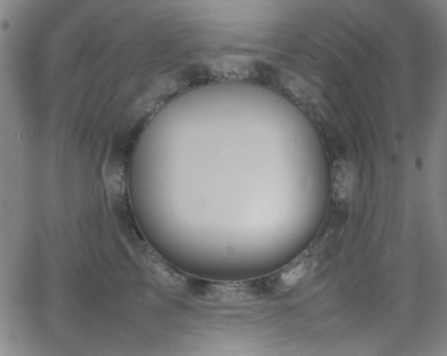 X0000064040713200601271202