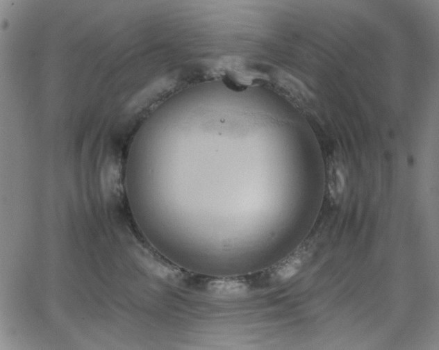 X0000064040714200601271202