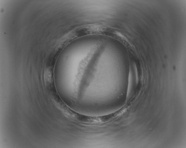 X0000064040715200601271202