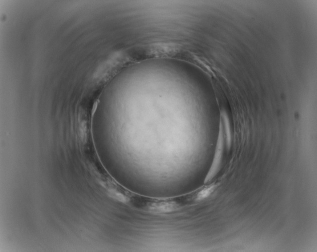 X0000064040716200601271202