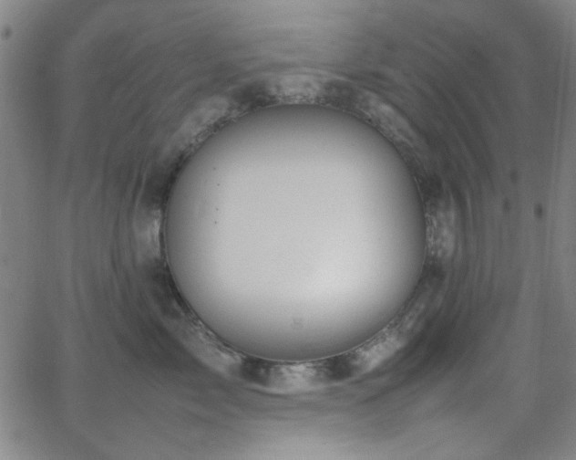 X0000064040717200601271202