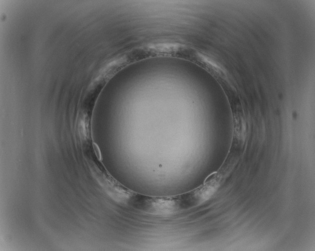 X0000064040718200601271202