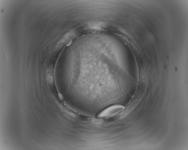 X0000064040719200601271202