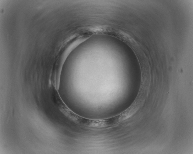 X0000064040720200601271202