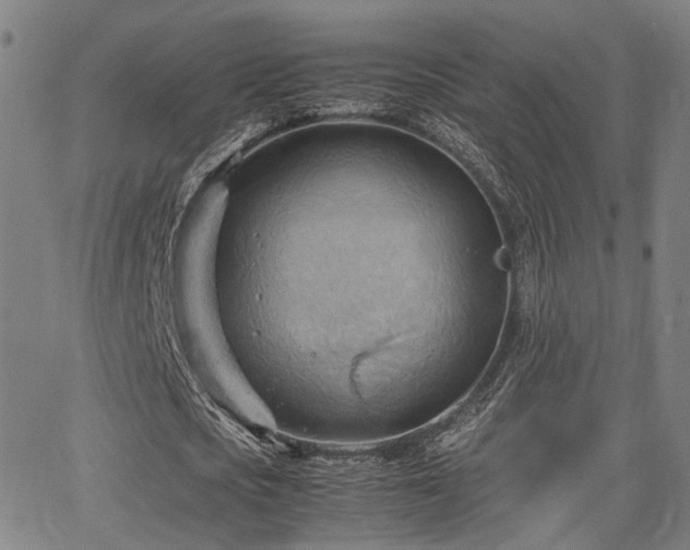 X0000064040721200601271201