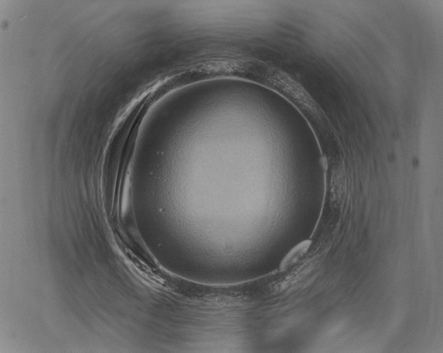 X0000064040722200601271201