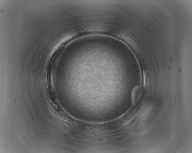 X0000064040723200601271201