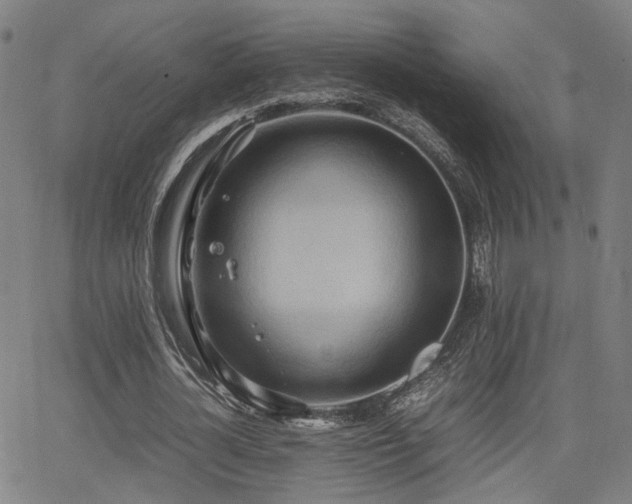 X0000064040724200601271201