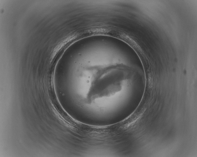 X0000064040725200601271201