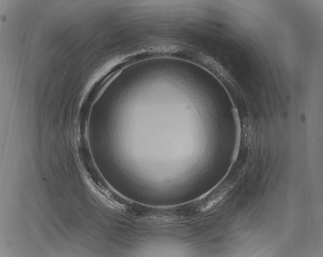 X0000064040726200601271201