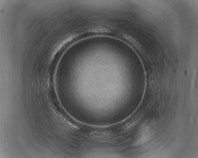 X0000064040727200601271201