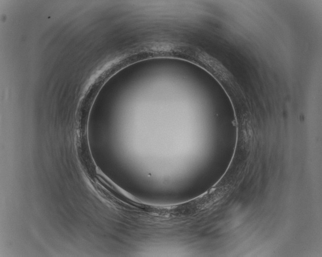 X0000064040728200601271201