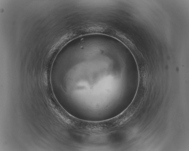 X0000064040729200601271201