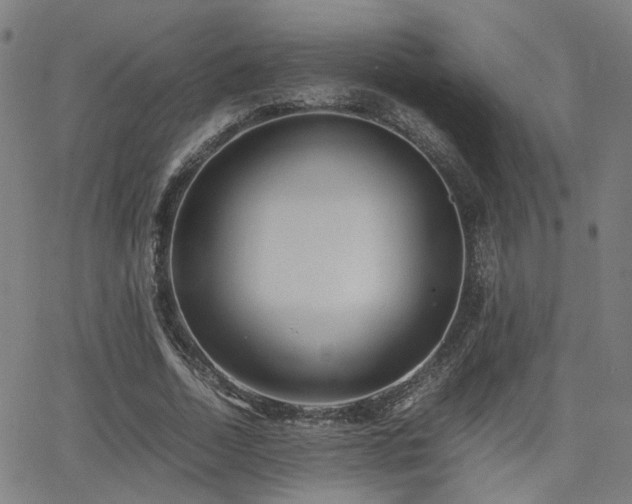 X0000064040730200601271201