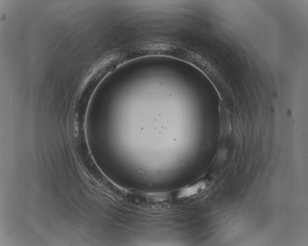 X0000064040731200601271201