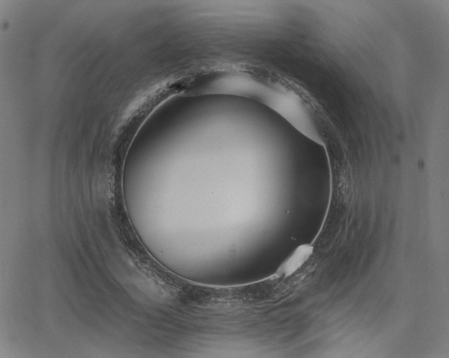 X0000064040732200601271201