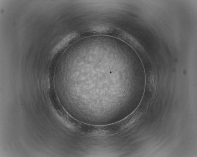 X0000064040734200601271201