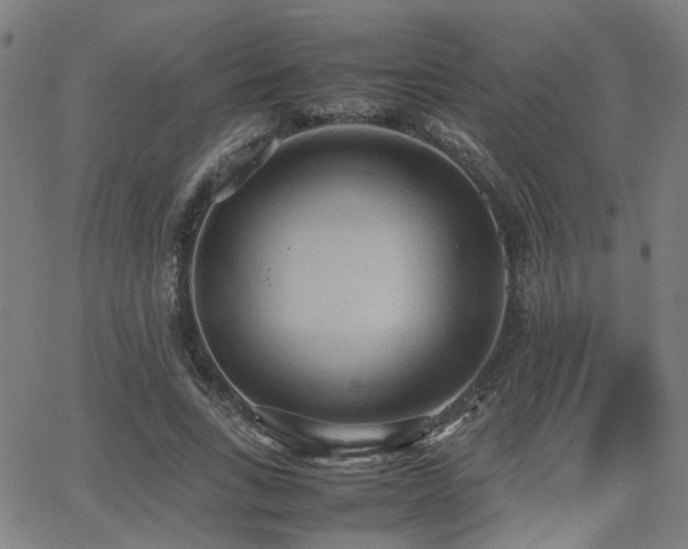 X0000064040735200601271201