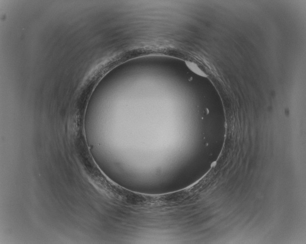 X0000064040736200601271201