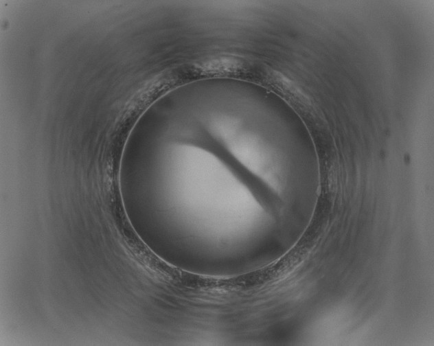 X0000064040737200601271201