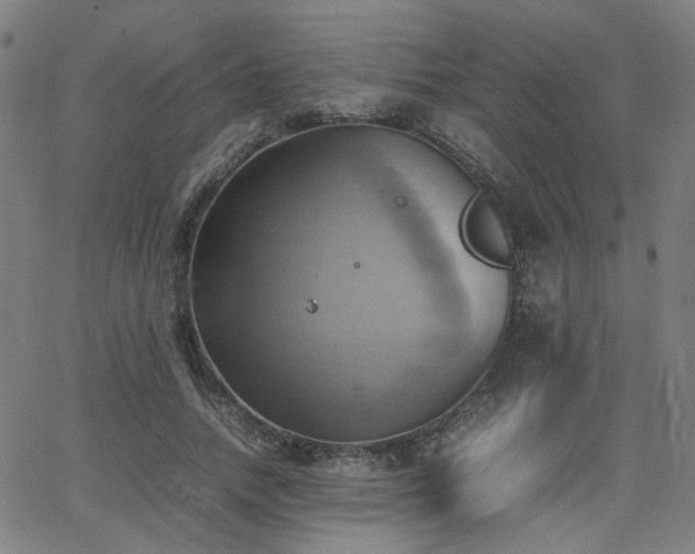 X0000064040738200601271201