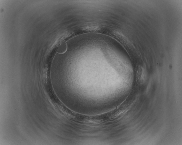 X0000064040739200601271201