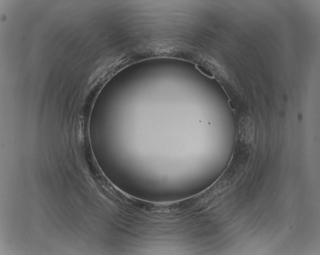 X0000064040740200601271201