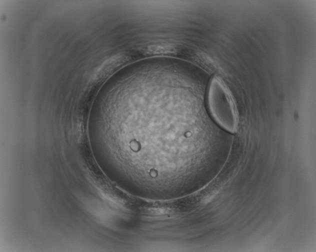 X0000064040741200601271201