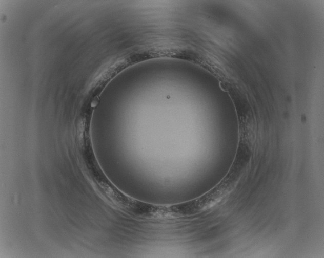 X0000064040742200601271201