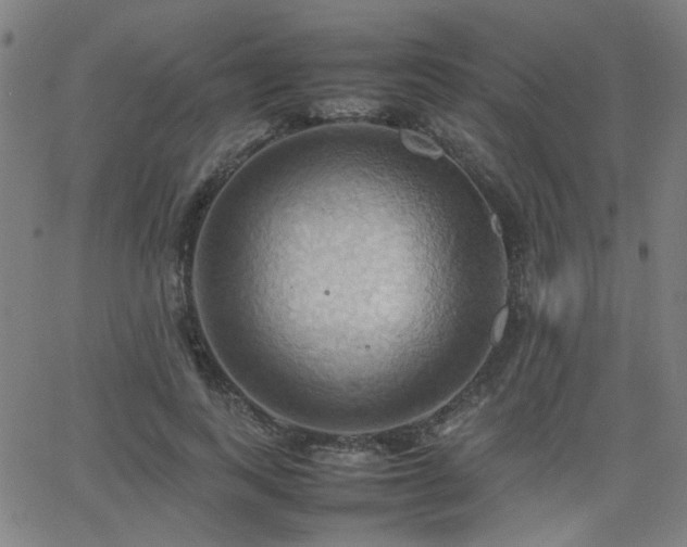 X0000064040743200601271201