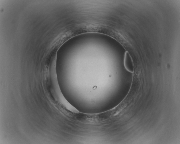 X0000064040744200601271201