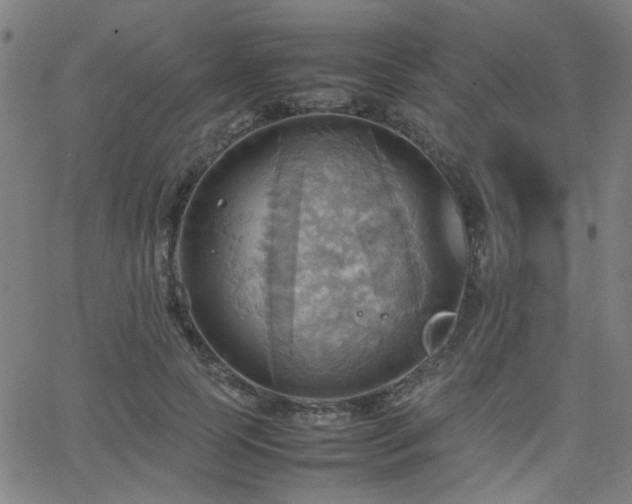 X0000064040745200601271202