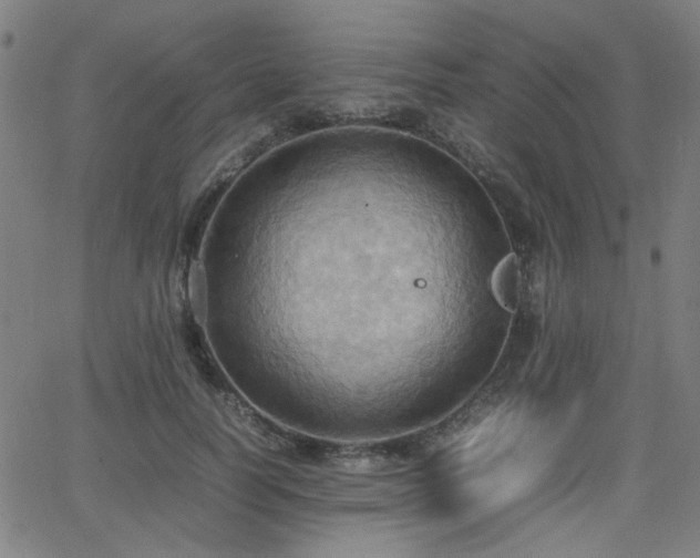 X0000064040746200601271202