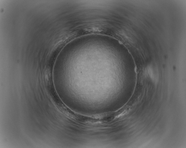 X0000064040747200601271202