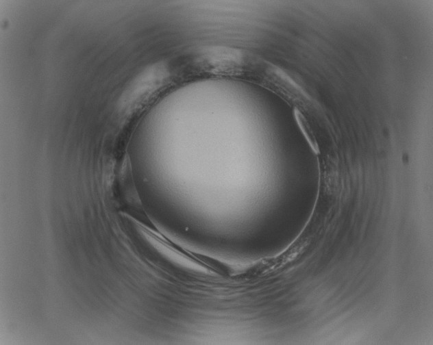 X0000064040748200601271202