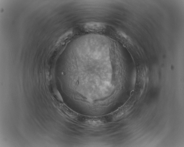 X0000064040749200601271202