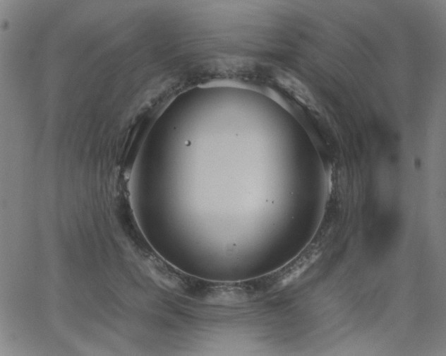 X0000064040750200601271202