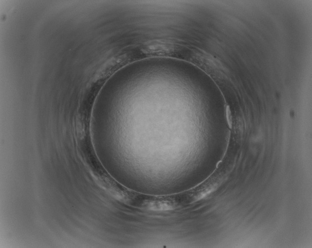 X0000064040751200601271202